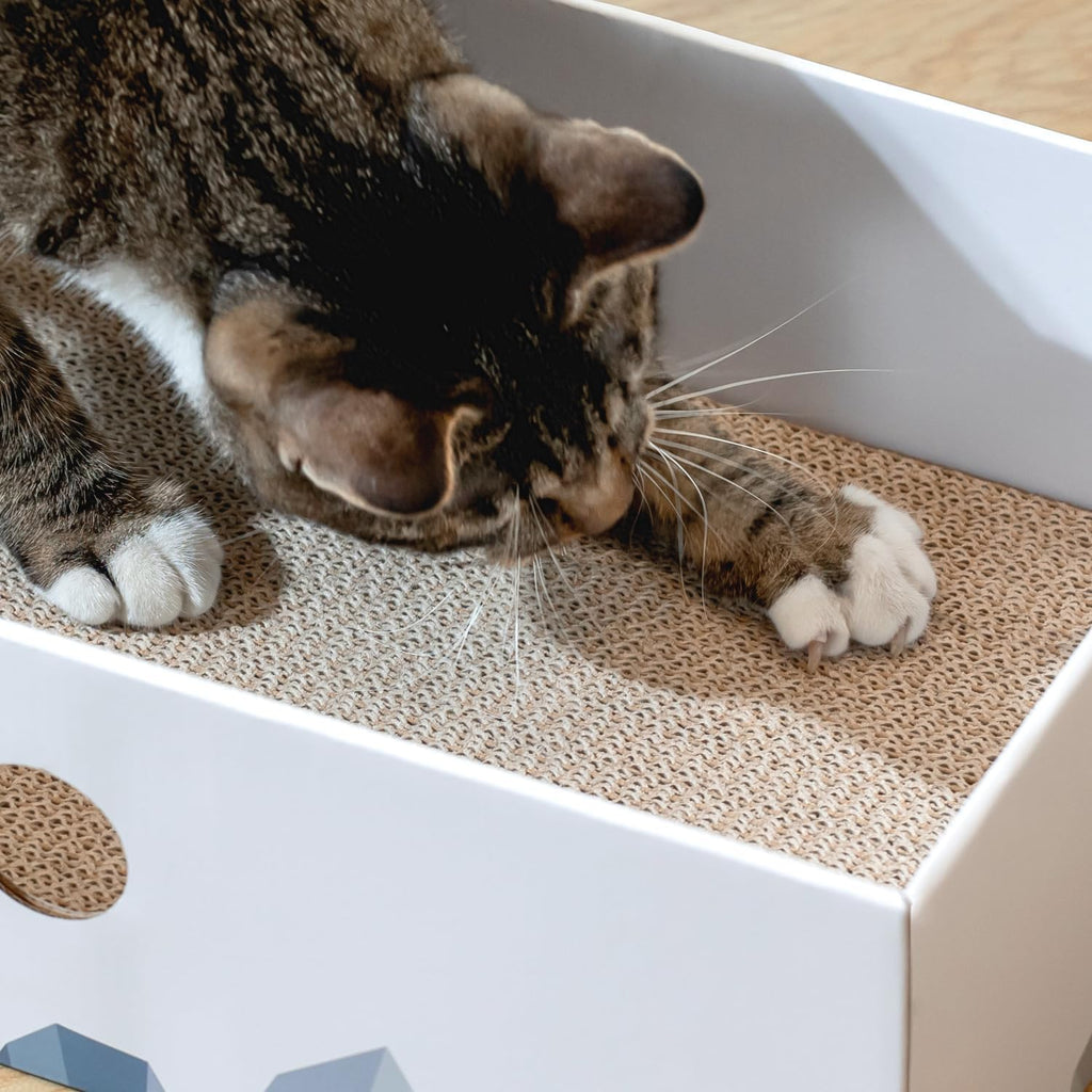 Cat Scratcher Box, Cardboard Pad, Bed for Indoor Cats, White