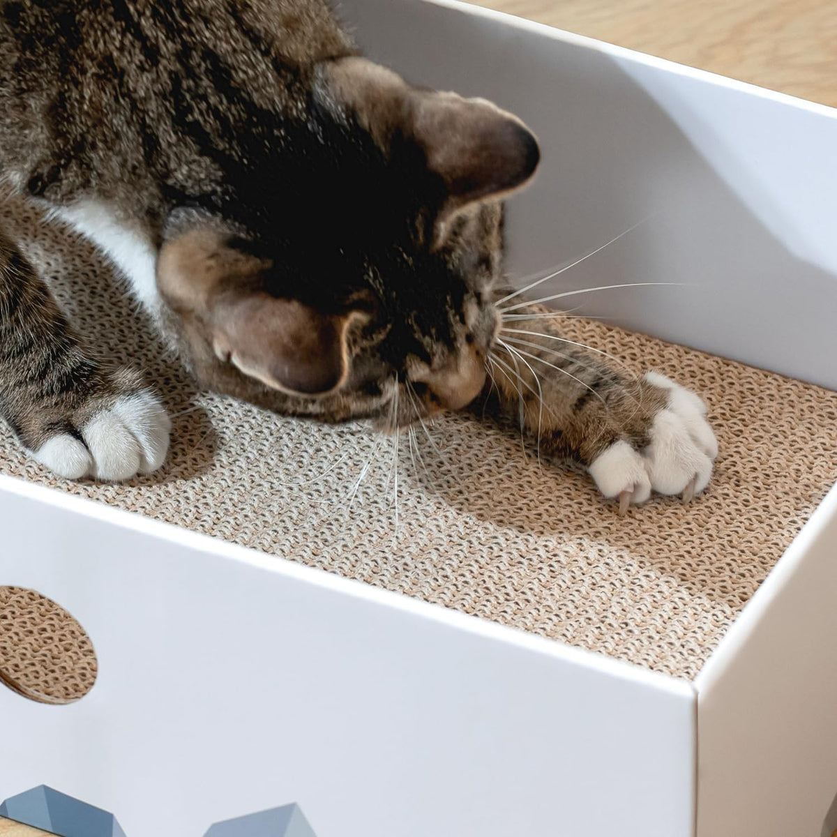 Cat Scratcher Box, Cardboard Pad, Bed for Indoor Cats, White