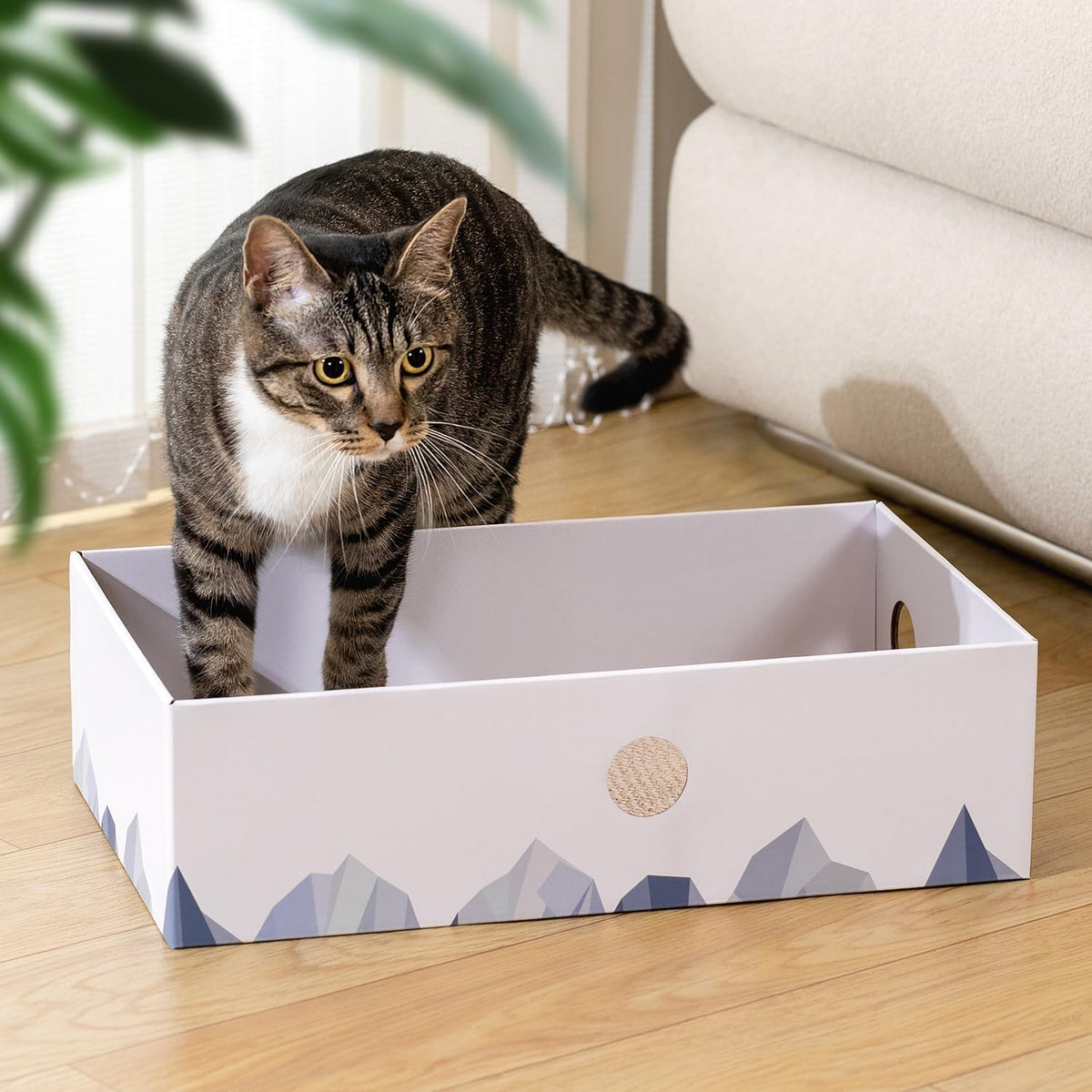 Cat Scratcher Box, Cardboard Pad, Bed for Indoor Cats, White