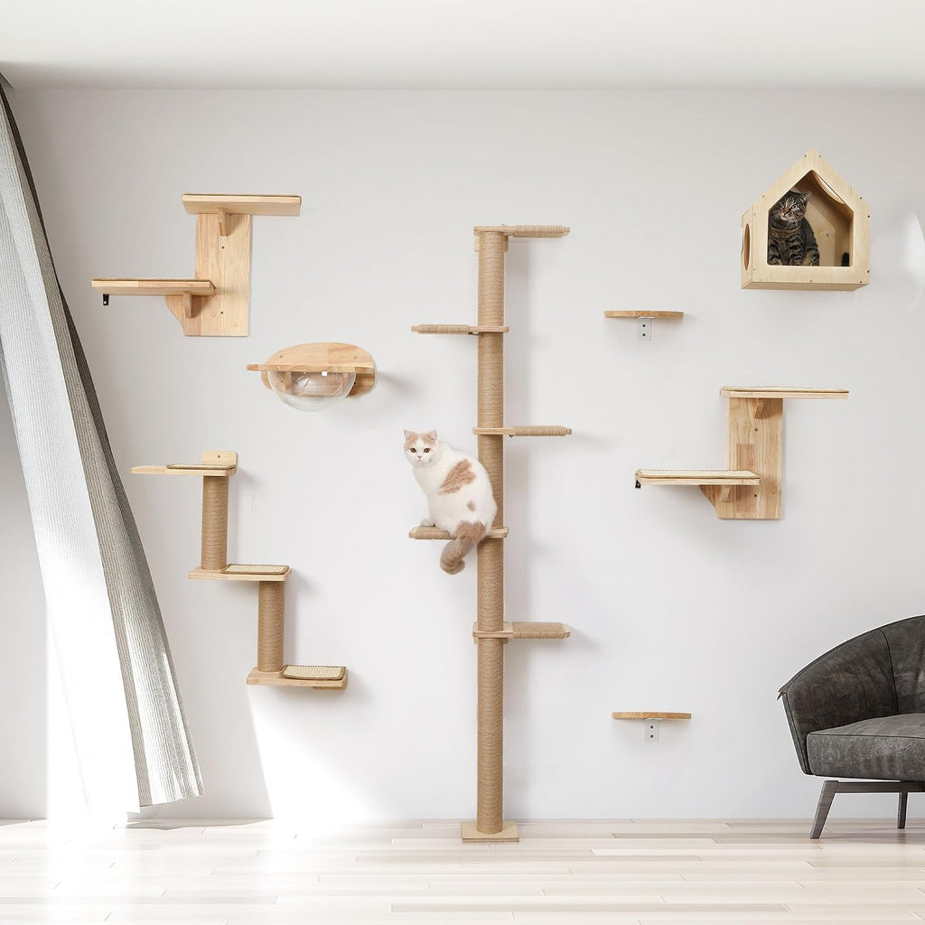 Cat Wall Shelves, 2 Platform Kitten Wall Furniture, Tree Shape Wall-Mounted Floating Shelf with Sisal Mat, Solid Rubber Wood Cats Perch for 16 Inch Drywall, Suitable for Climb, Play, Nap