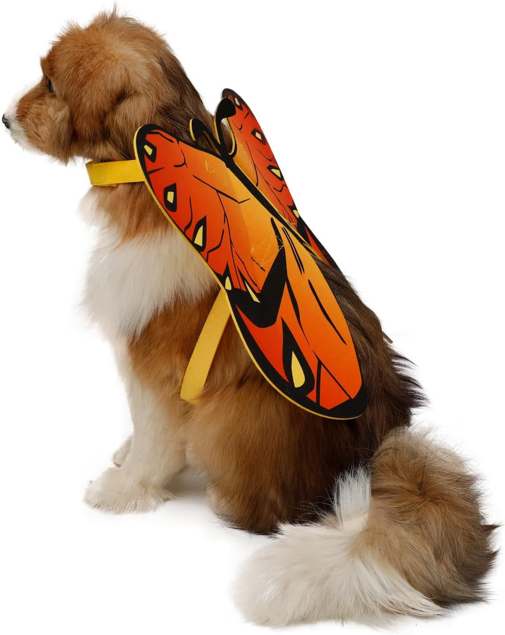 Butterfly Wings Costume for Small to Large Dogs & Cats - Halloween