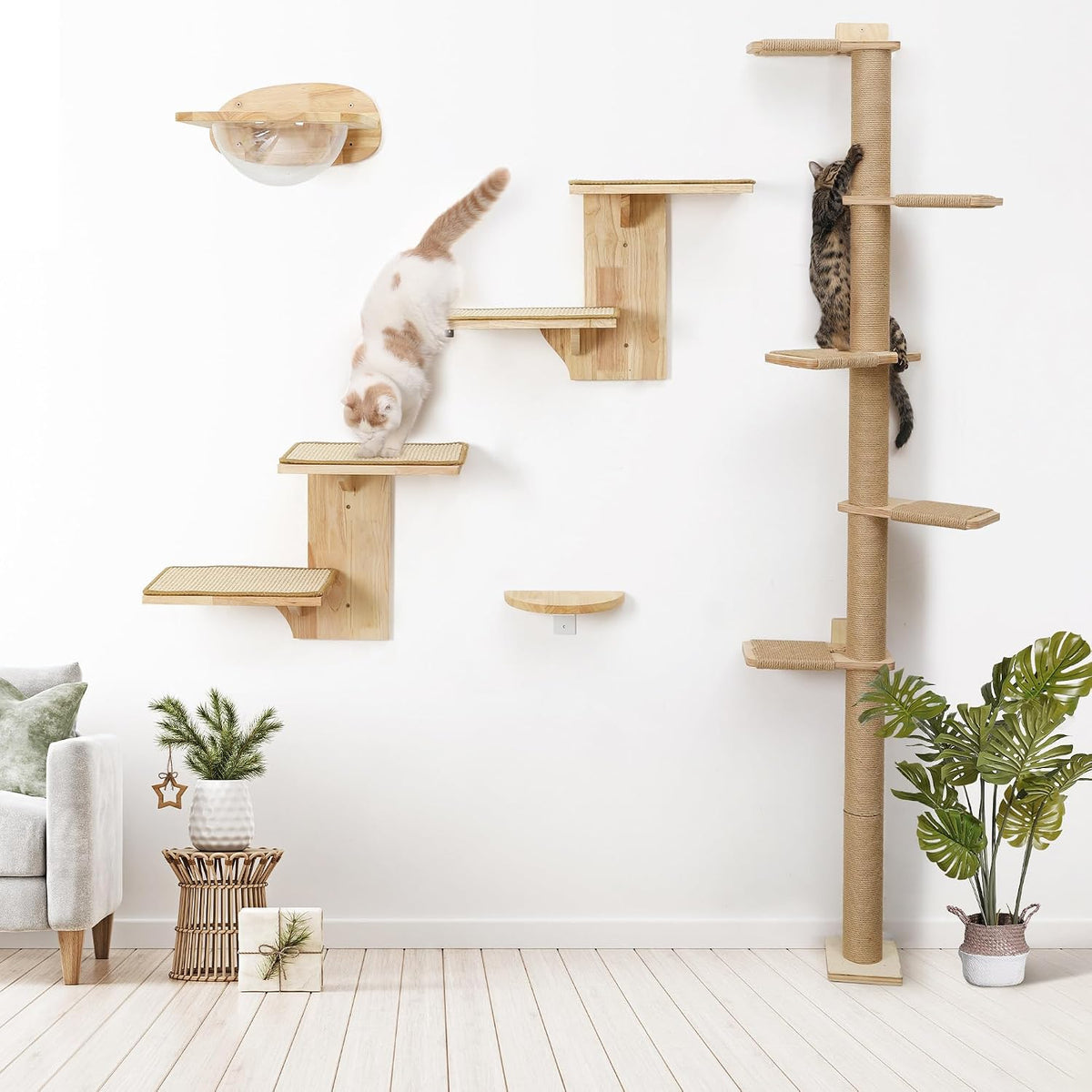 Cat Wall Shelves, 2 Platform Kitten Wall Furniture, Tree Shape Wall-Mounted Floating Shelf with Sisal Mat, Solid Rubber Wood Cats Perch for 16 Inch Drywall, Suitable for Climb, Play, Nap