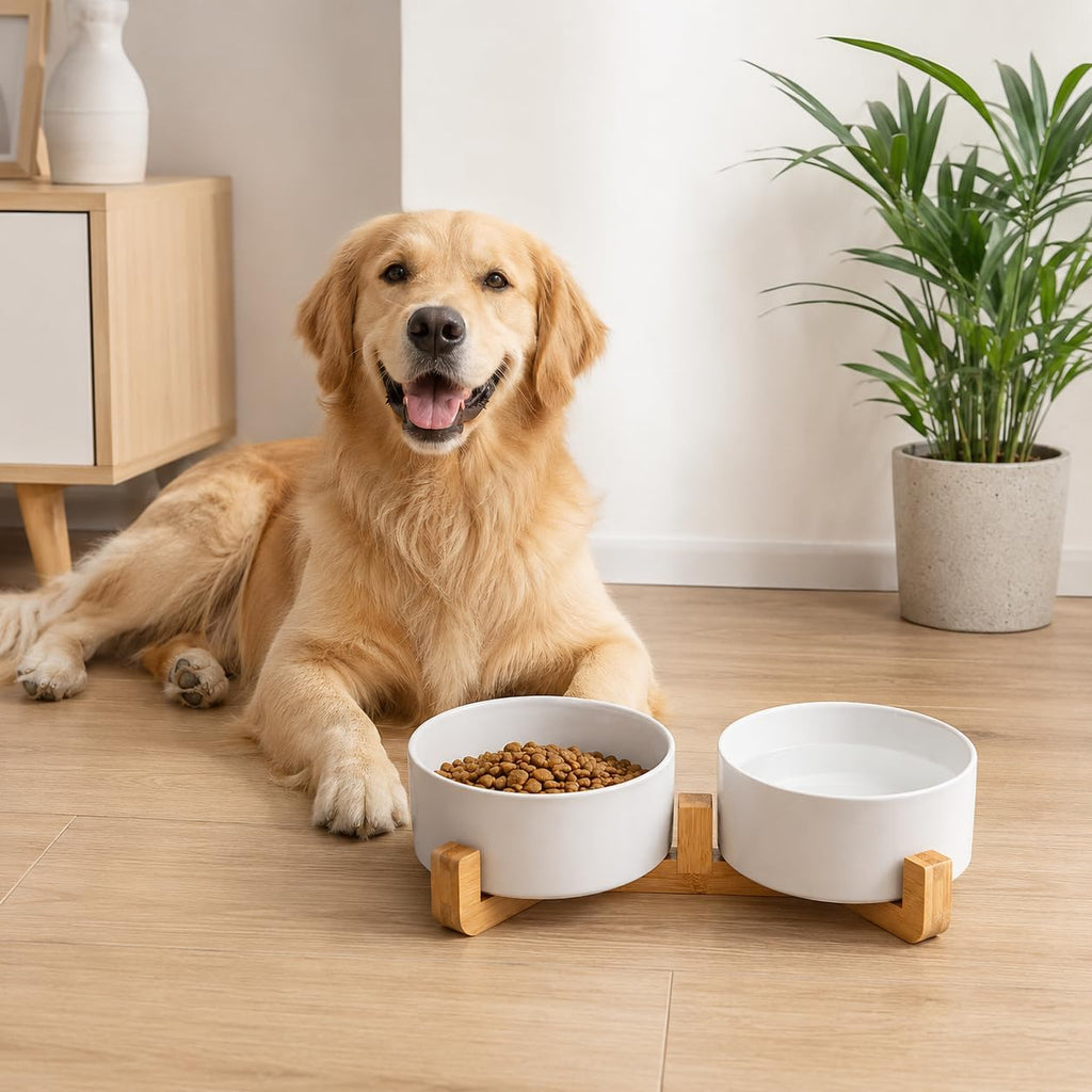 Dog Bowls,White Ceramic Cat and Dog Bowl Set with Wood Stand for Food and Water, Non-Slip Cute Modern Pet Dish Set for Cats & Medium Dogs (28OZ)