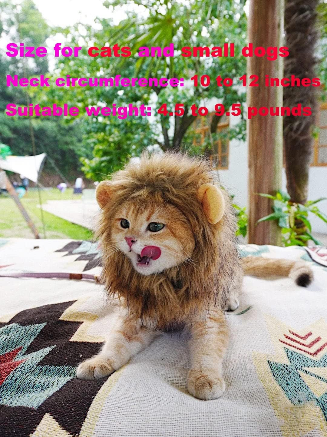 Lion Mane Wig for Cat Costume Pet Adjustable Washable Comfortable Fancy Lion Hair Cat Clothes Dress for Halloween Christmas Easter Festival Party Activity (Brown)