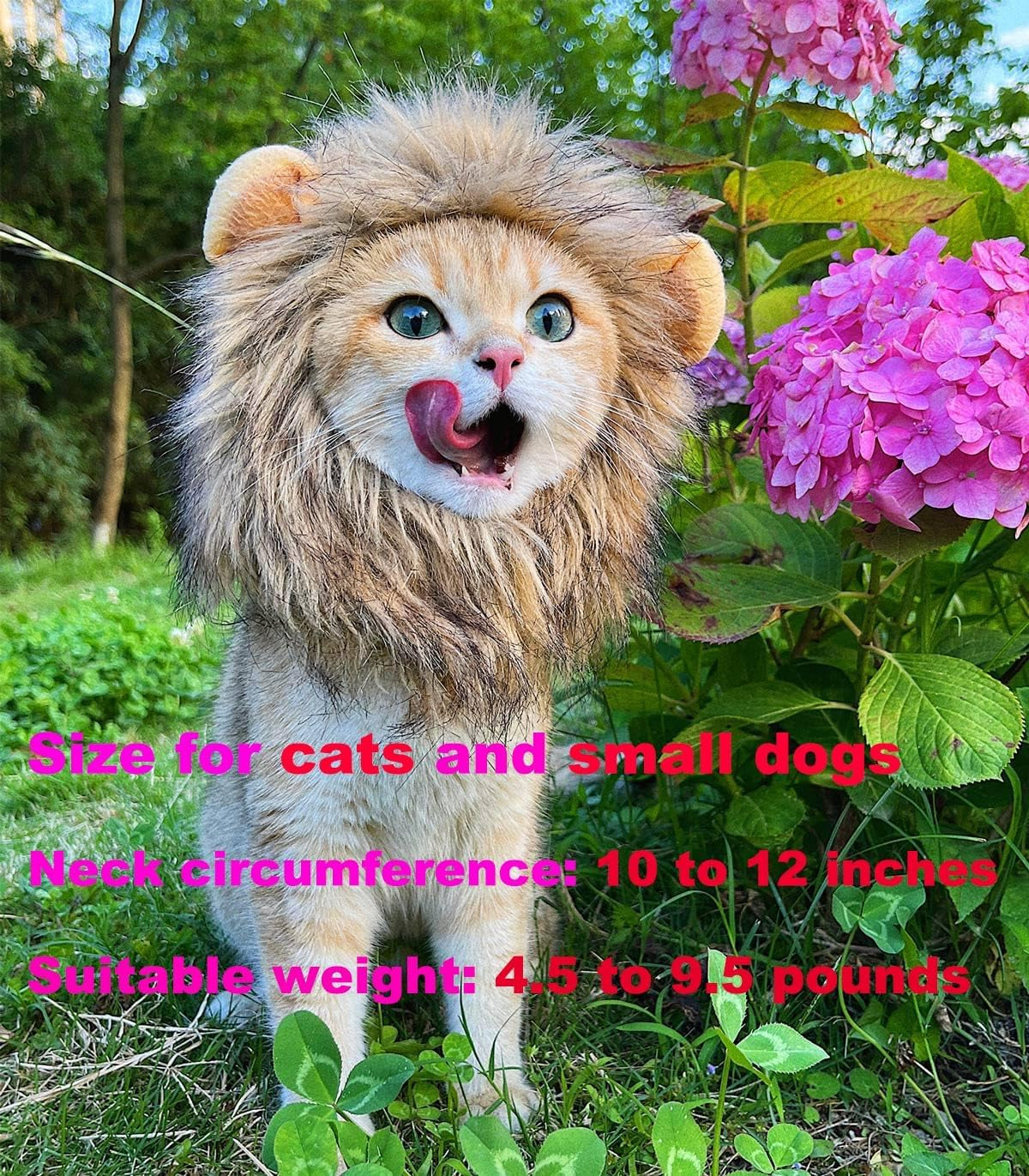 Lion Mane Wig for Cat Costume Pet Adjustable Washable Comfortable Fancy Lion Hair Cat Clothes Dress for Halloween Christmas Easter Festival Party Activity (Brown)