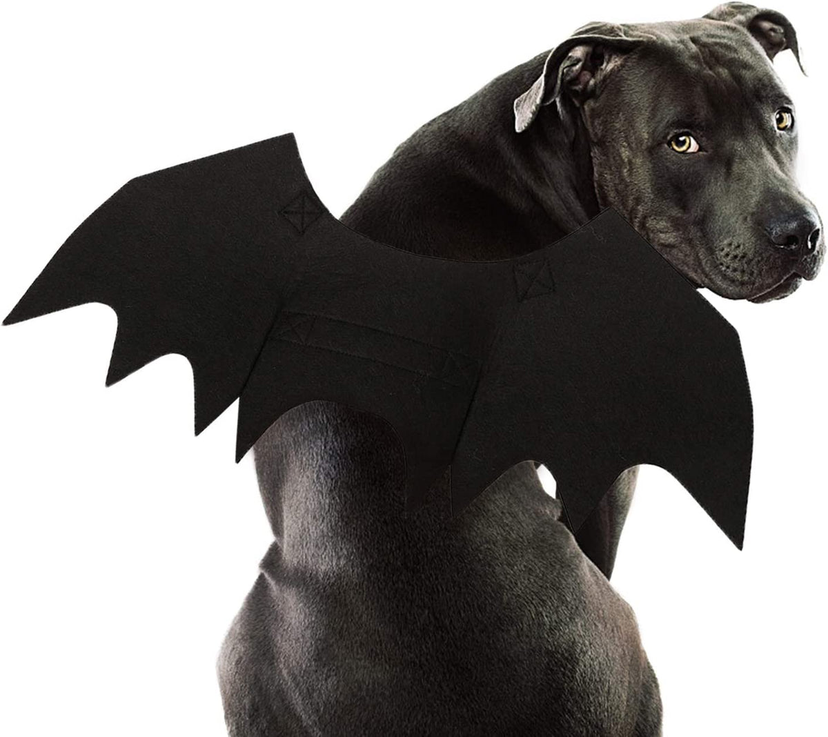 Dog Bat Wings Costume L, Dog Bat Costume for Halloween Cosplay Party