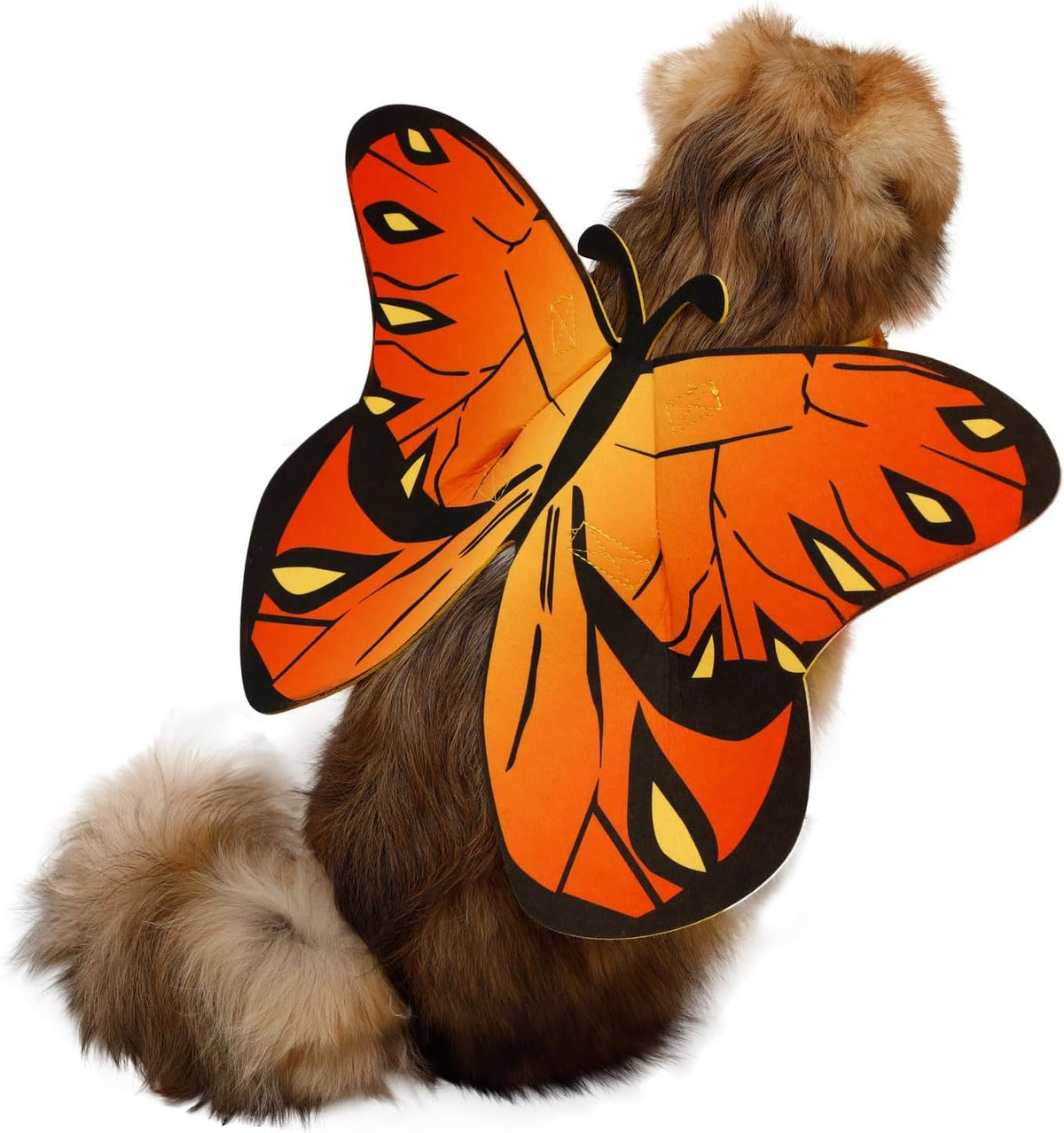 Butterfly Wings Costume for Small to Large Dogs & Cats - Halloween
