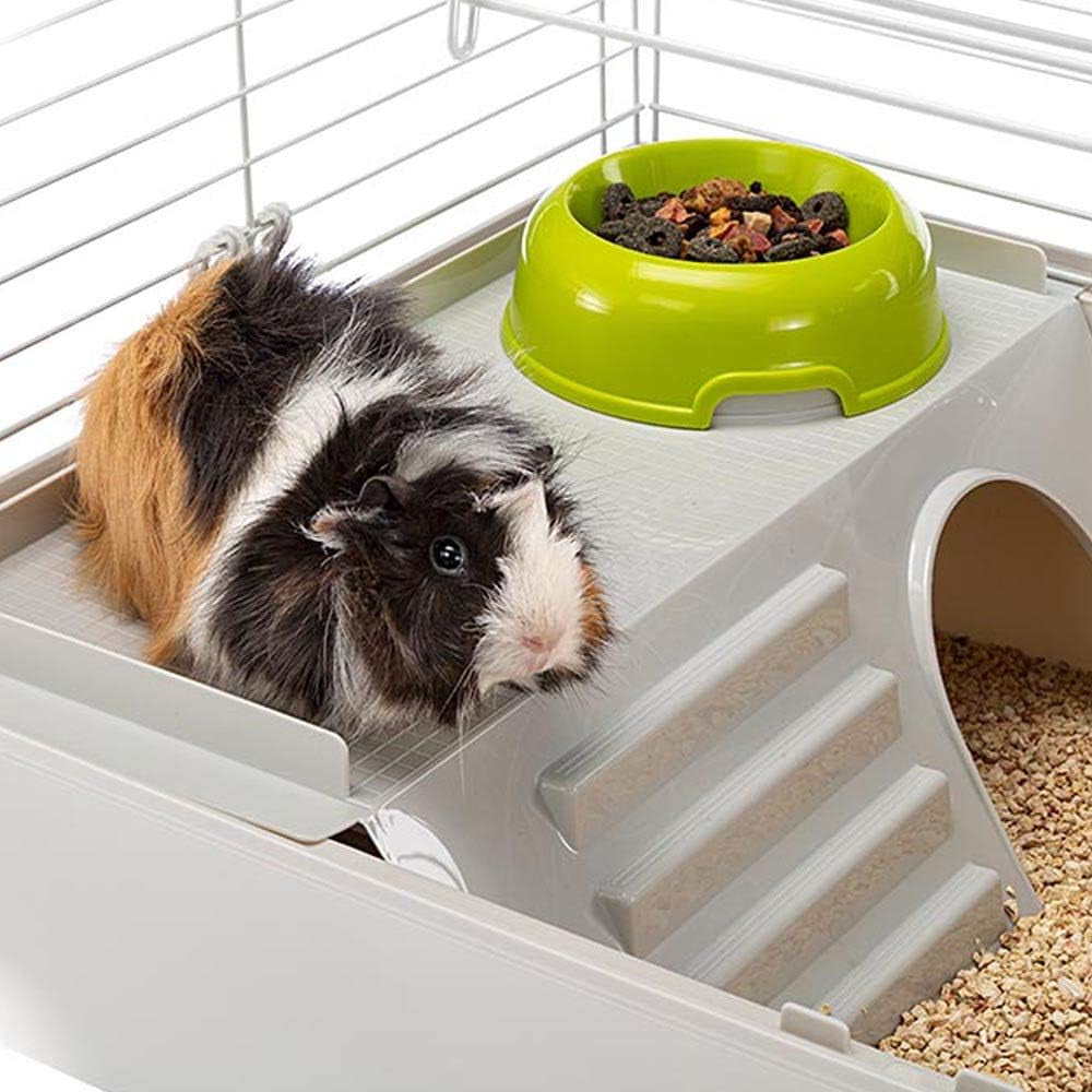 Cavie Guinea Pig Cage & Rabbit Cage | Pet Cage Includes All Accessories to Get You Started & a 1-Year Warranty