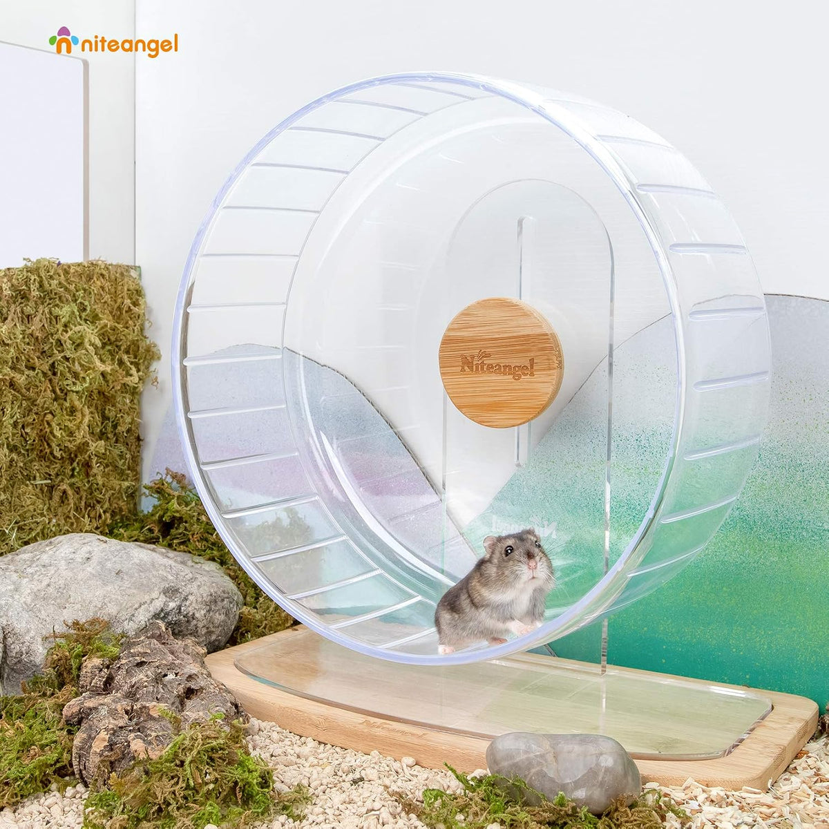 Super-Silent Hamster Exercise Wheels: Quiet 11 Inch Running Wheel