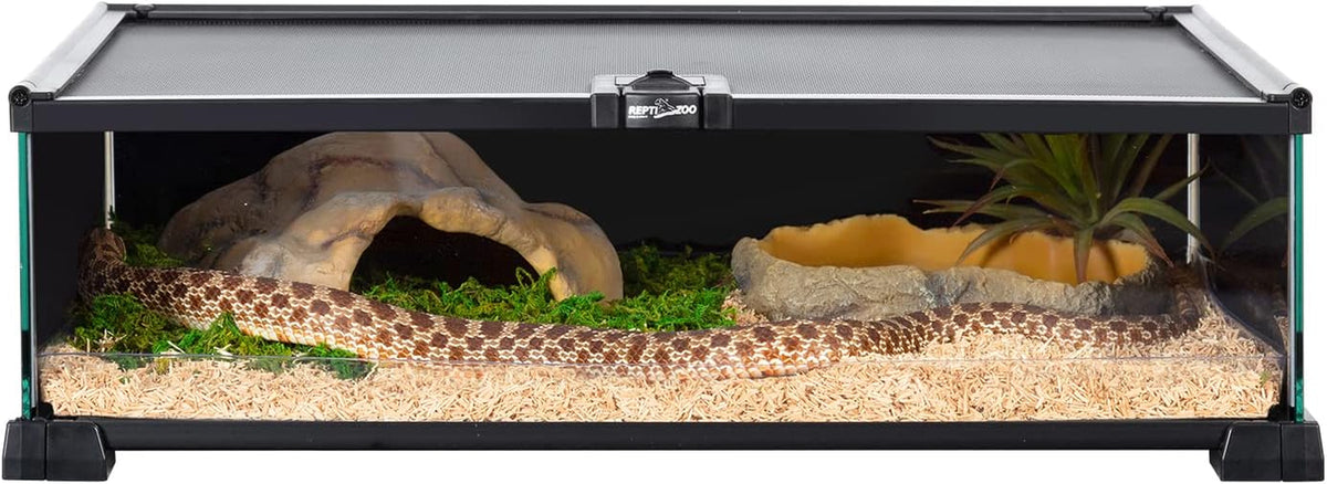 REPTIZOO Small Reptile Tank 20" X 12" X 6" Glass Reptile Terrarium with Top Feeding Habitat for Snake Spider