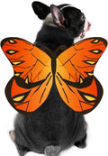 Butterfly Wings Costume for Small to Large Dogs & Cats - Halloween