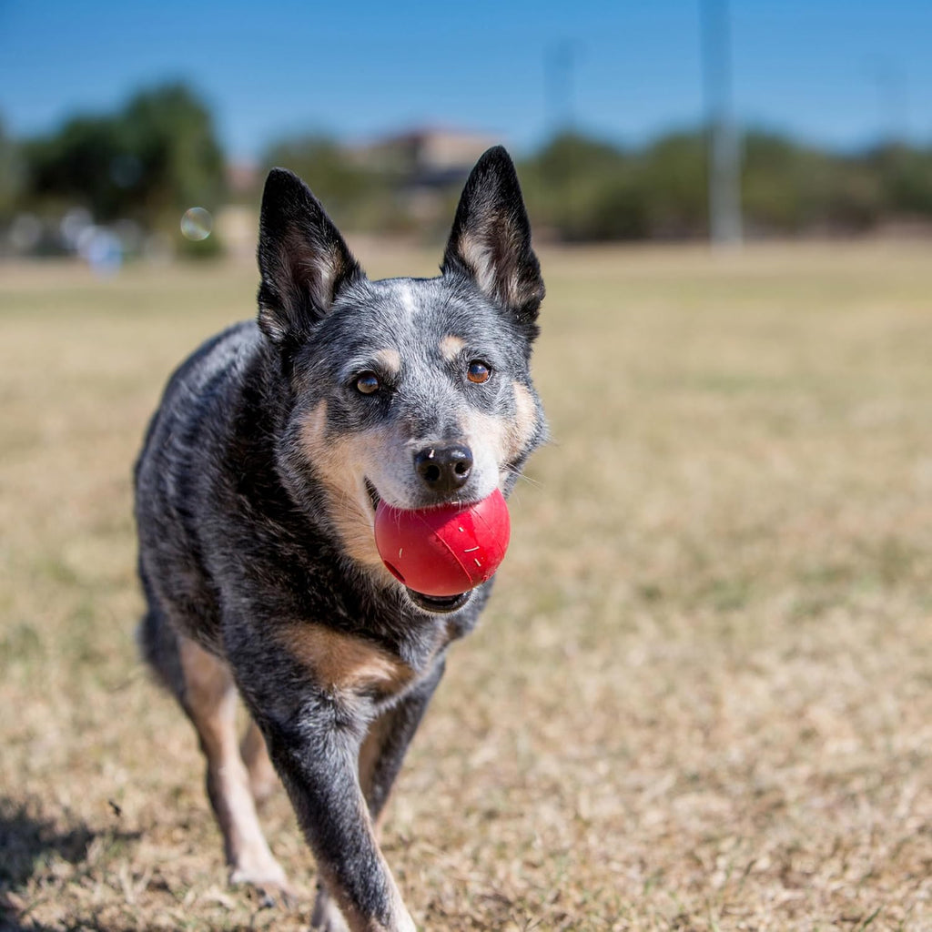 Ball with Hole, Natural Rubber Fetch Toy, Red, for Large/Medium Dogs