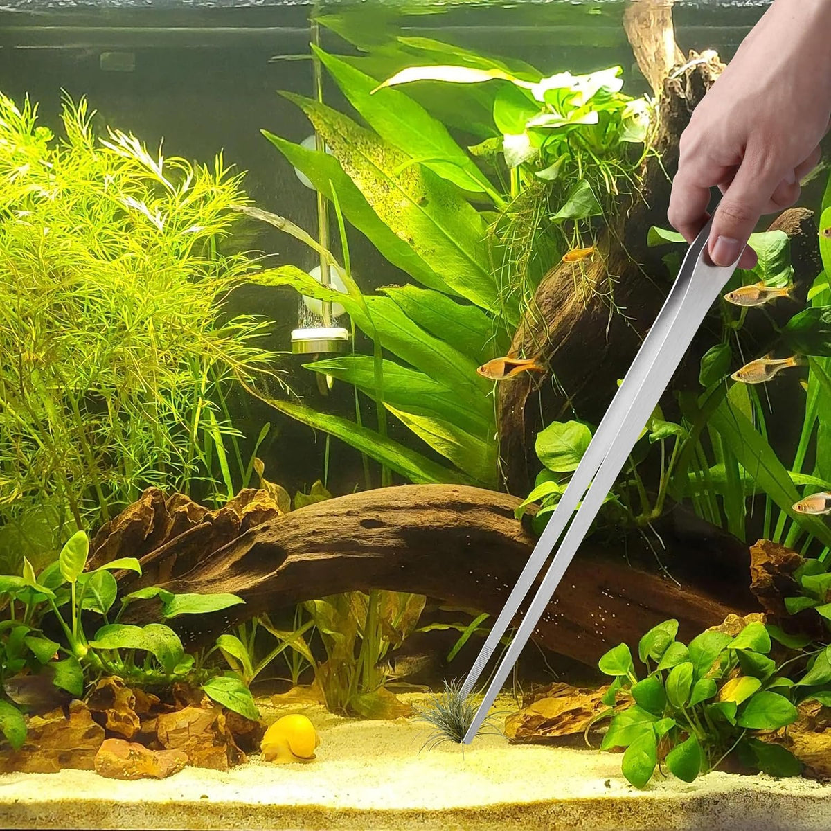 15" Long Tweezers for Aquarium 2 Pcs, Stainless Steel Feeding Tongs
