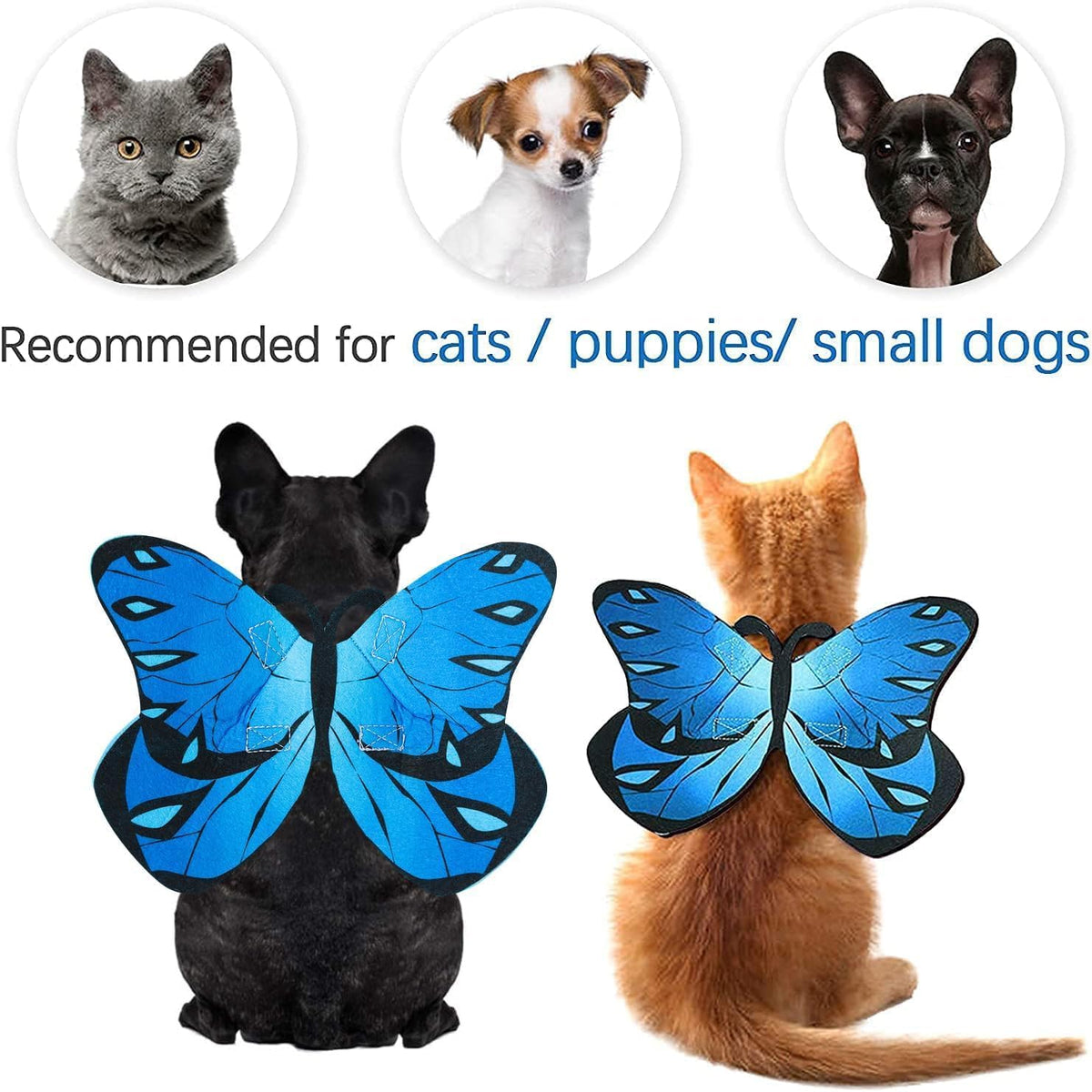 Butterfly Wings Costume for Small to Large Dogs & Cats - Halloween