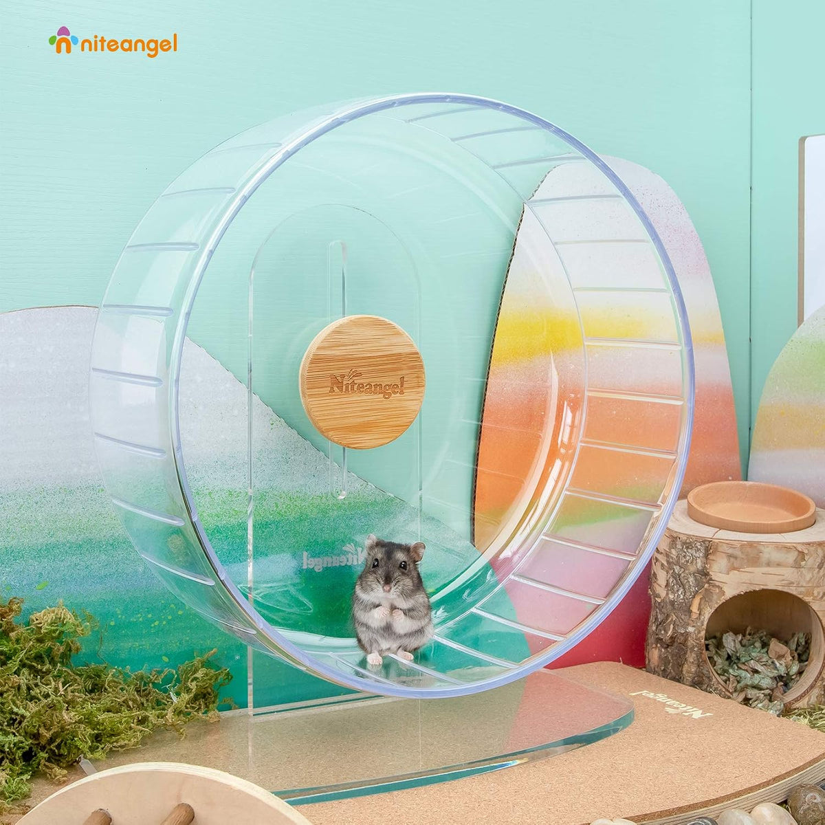 Super-Silent Hamster Exercise Wheels: Quiet 11 Inch Running Wheel
