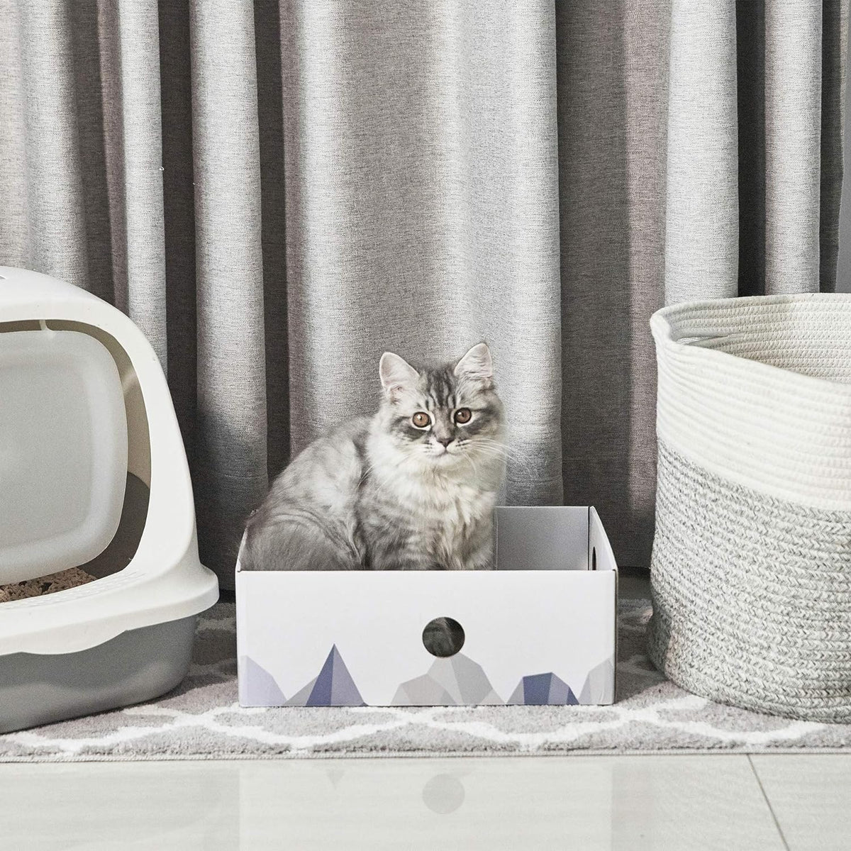 Cat Scratcher Box, Cardboard Pad, Bed for Indoor Cats, White
