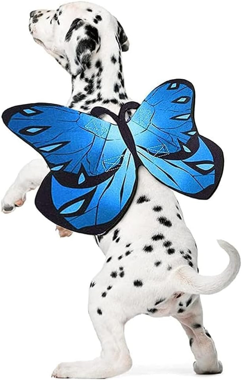 Butterfly Wings Costume for Small to Large Dogs & Cats - Halloween